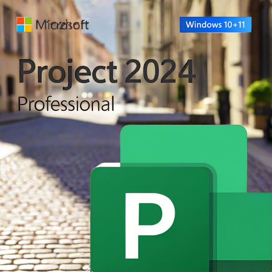 Microsoft Project 2024 Professional