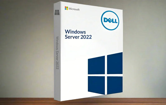 Windows Server 2022 10 user CALs